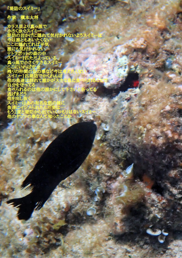 黒い魚の画像の写真詩