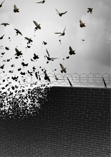 壊れた塀と鳥の群れの画像